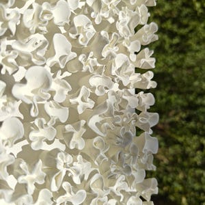 May include: A close-up of a white, 3D printed sculpture with a textured, organic design. The sculpture is made up of many small, overlapping shapes that resemble flowers or coral.