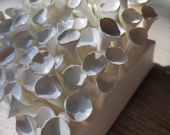 Puede incluir: Primer plano de un grupo de setas de cerámica blanca. Las setas tienen sombreros redondeados y tallos delgados, dispuestos en un bloque rectangular. La iluminación crea sombras, resaltando la textura y la forma de los hongos.
