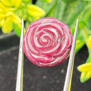 May include: A round, carved gemstone in shades of red and white, held by silver tweezers. The gemstone is carved in a rose design, with the petals spiraling inward. The background features blurred green and yellow foliage.