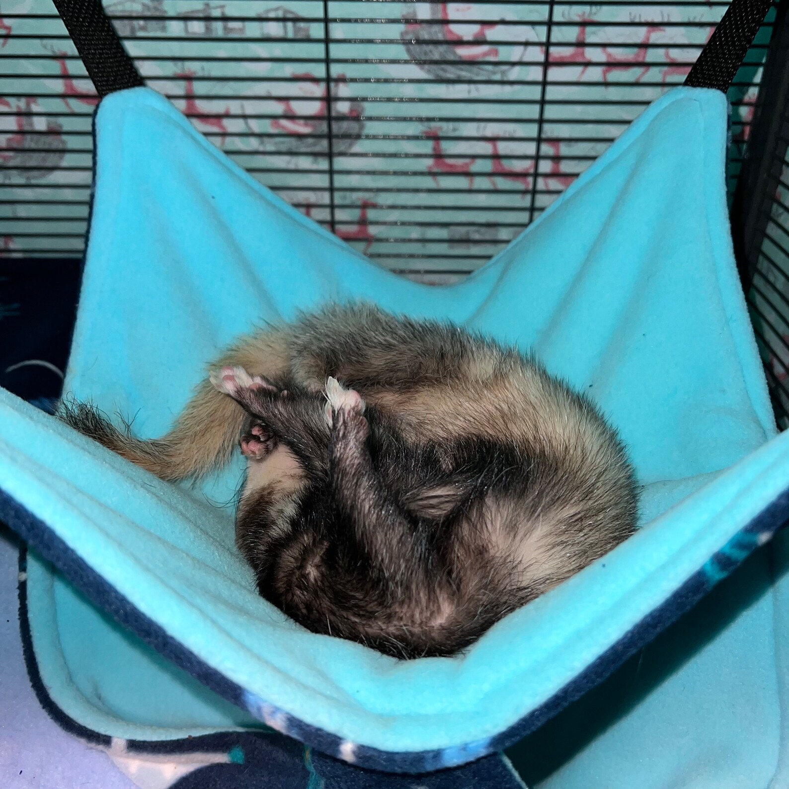 Custom Fleece Hammock for Ferrets Cats Rats and Other Small - Etsy