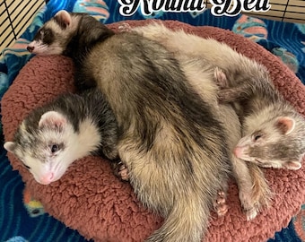Round Bed for Ferrets and other Small Animals