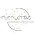 PuppilottasHandmade store logo