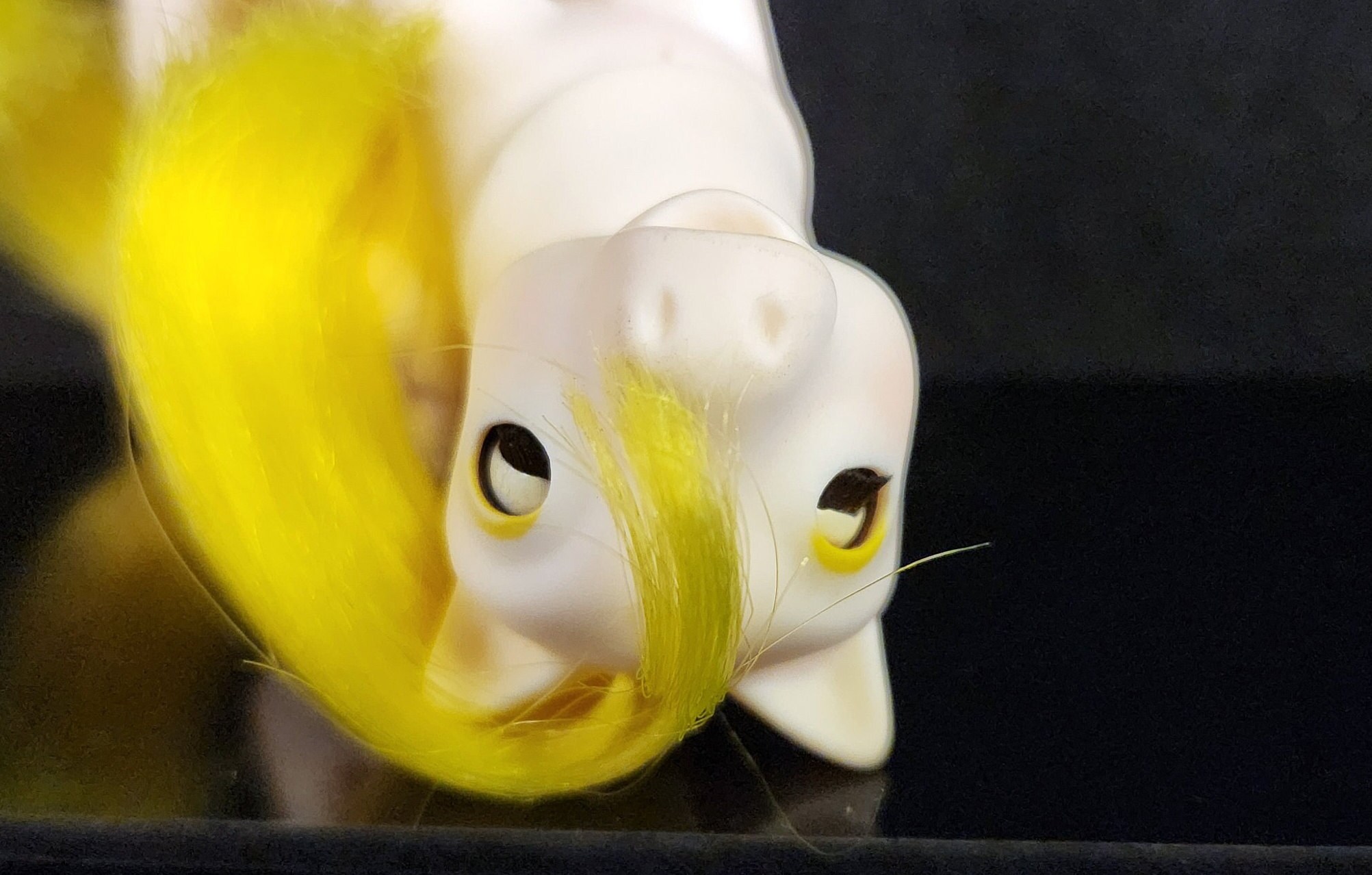 My Little Pony ジュンプランニング　ベイビーダンシングバタフライ My Little Pony ジュンプランニング ベイビーダンシングバタフライ