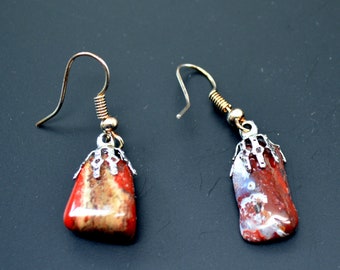 Crazy Lace Agate Earrings