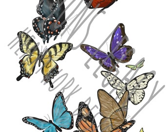 INSTANT DOWNLOAD Watercolor Butterflies