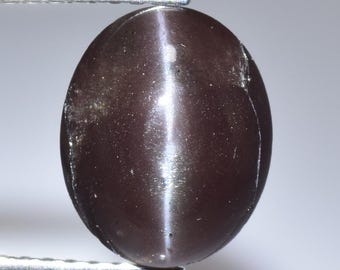 3.75 Ct Brownish-Grey Sillimanite Cat's Eye Gemstone | Oval Cabochon
