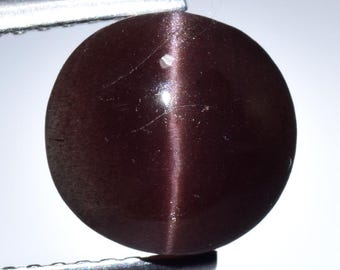 Natural Sillimanite Cat's Eye Gemstone | 2.65 Ct Round Cabochon
