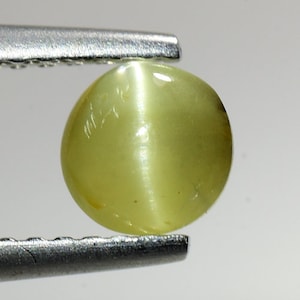 0.750 Cts & 5x5x3.5 mm_ NATURAL CHRYSOBERYL CAT&#39;S EYE_ Yellowish Green Unheated Natural Chrysoberyl Cat&#39;s Eye Round Loose Gemstones Srilanka