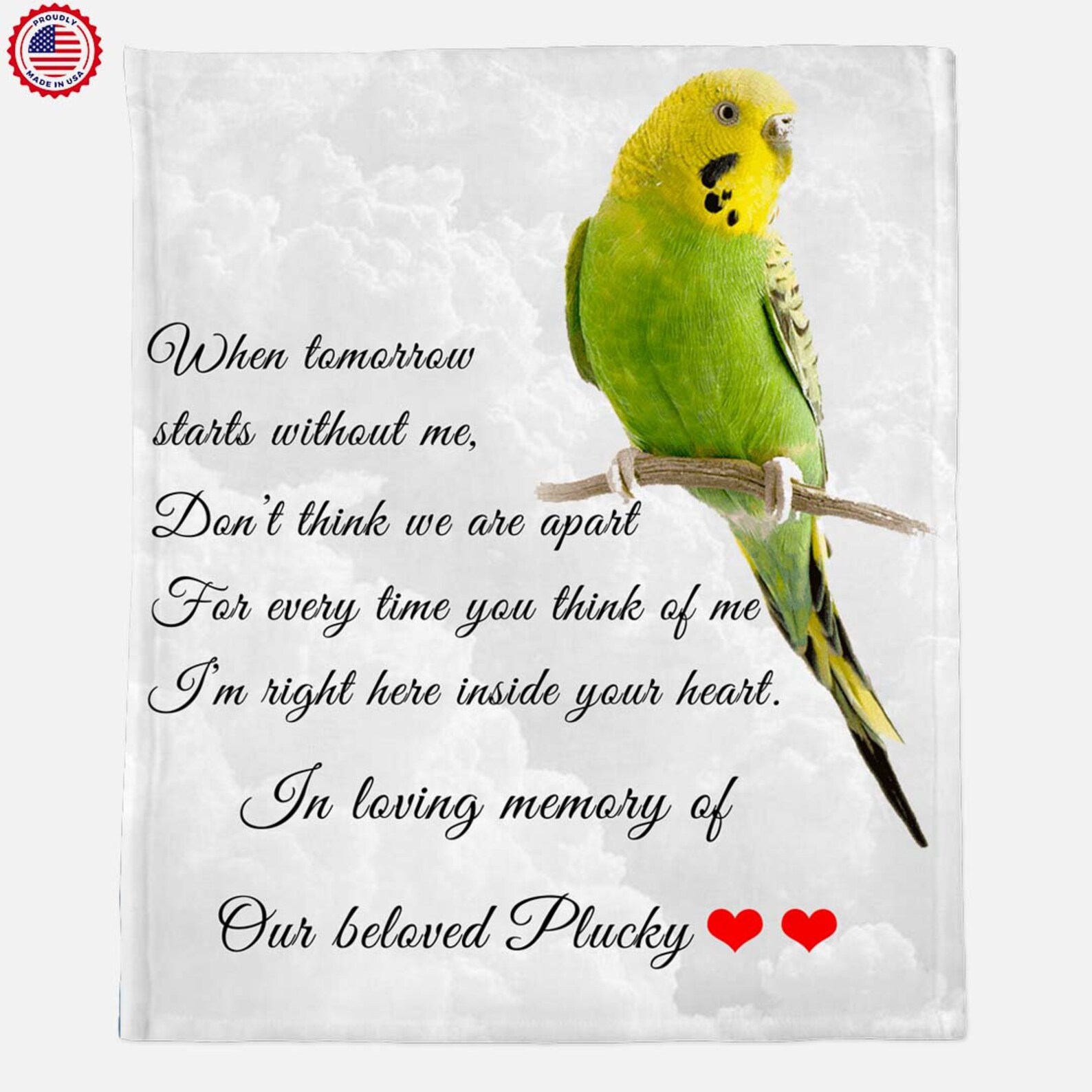 Personalized Bird Memorial Gift Death of Parrot Bird Loss Etsy
