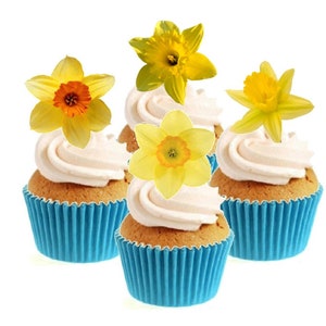 May include: Four blue cupcake cases with white icing and yellow daffodil flower toppers.