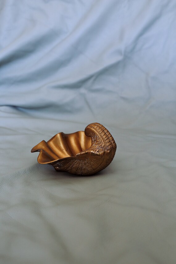 Seashell Collection Set - image 6