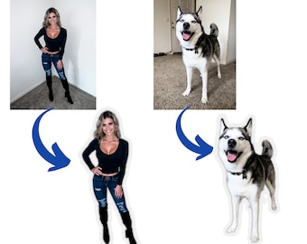 May include: A black and white husky dog with blue eyes is standing on a carpet. The dog is looking at the camera with its mouth open. The dog is wearing a black collar.