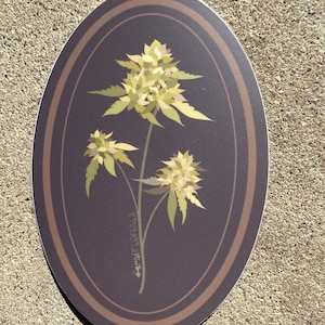 Portrait of a Flower Vinyl Sticker
