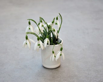 Set of 2 mini vessels, egg cups, mini vase, toothpick holder, cotton swabs, multifunctional minimalism