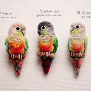 Pineapple conure / Green cheeked conure / Cinnamon conure / wool felt brooch