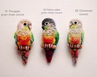 Pineapple conure / Green cheeked conure / Cinnamon conure / wool felt brooch