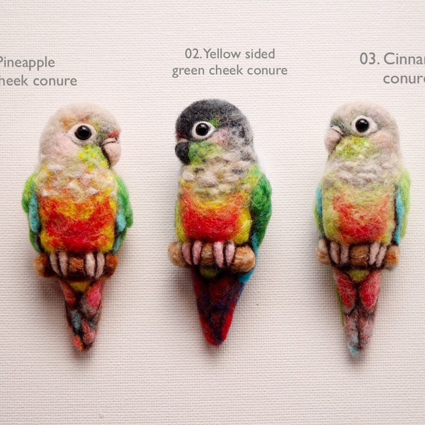 Green Cheek Conure Etsy