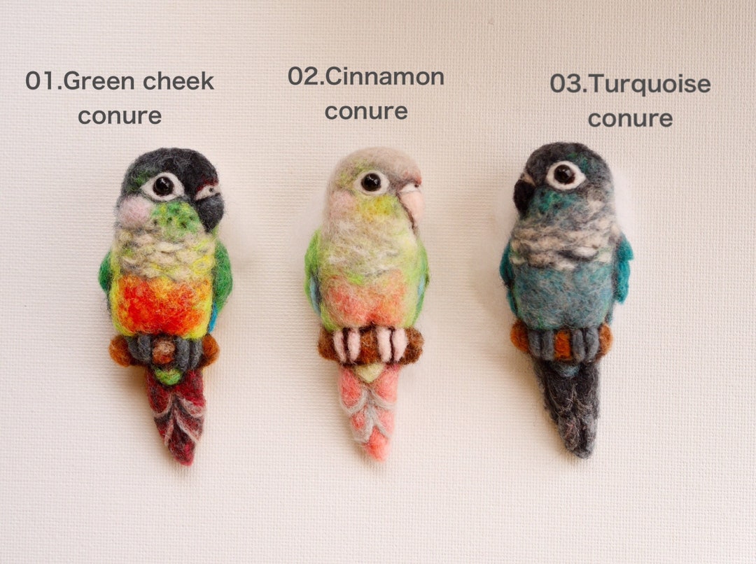 Green Cheek Conure / Cinnamon Conure / Turquoise Conure / Wool Felt