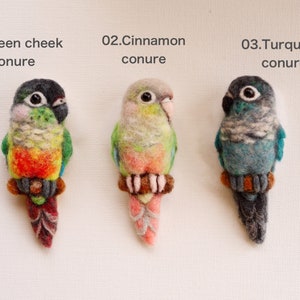 Conure plush discount