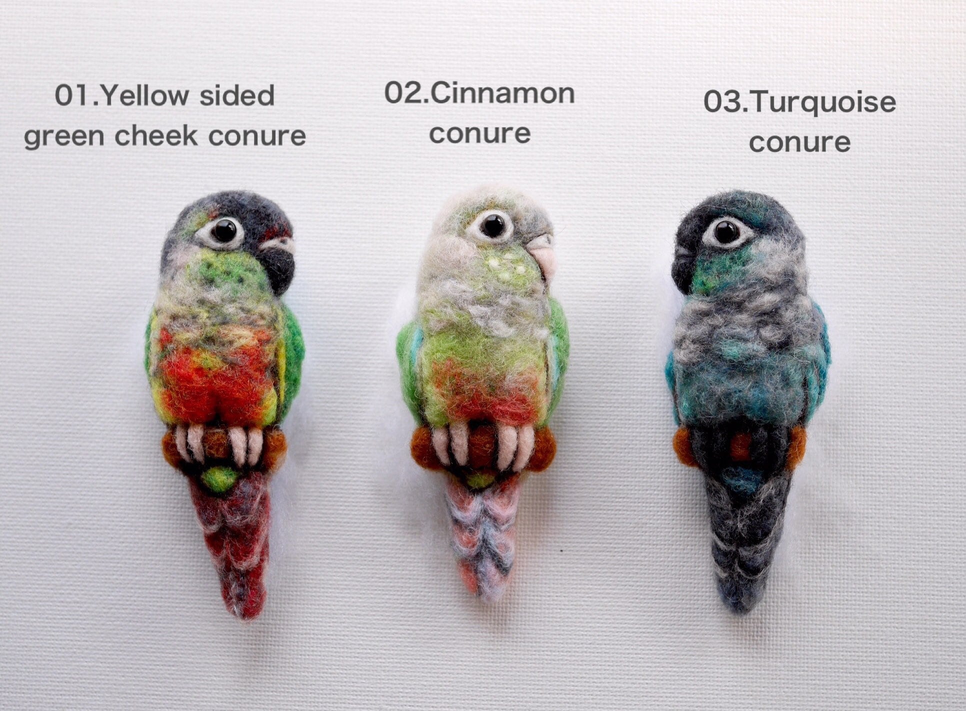 Cinnamon green cheek sale conure