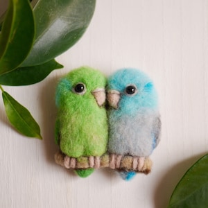 Pacific parrotlets felt brooch /Celestial parrotlets felt brooch