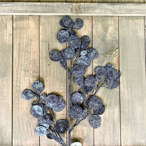 May include: A black glitter eucalyptus stem with round leaves. The stem is on a wooden background.
