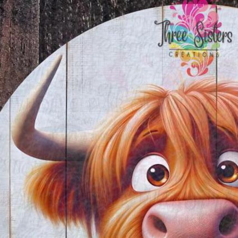Puede incluir: Primer plano de una vaca Highland marr&oacute;n y blanca con grandes ojos marrones, una nariz rosada y pelo largo marr&oacute;n. La vaca est&aacute; mirando directamente a la c&aacute;mara con una expresi&oacute;n curiosa.