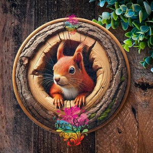 May include: A red squirrel peeks out of a tree trunk hole. The squirrel has a white belly and a bushy tail. The tree trunk is brown and has a rough texture.