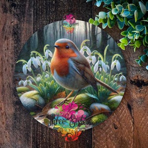 Robin Sign, Robin Gift, Garden Bird Décor, Nature-Inspired Home Decoration, Garden gift