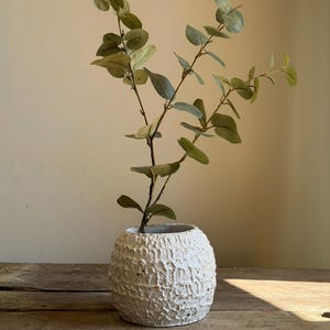 Ceramic white plant pot.