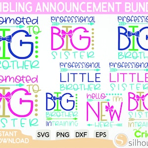 Geschwister Ankündigung Bundle Svg, Familie Bundle, Schwester Svg, Bruder Svg, Geschwister Svg, neue Baby Ankündigung, süße große kleine Bruder Schwester