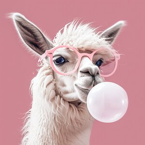 May include: A white llama wearing pink glasses and blowing a bubble with pink bubble gum. The llama is looking directly at the camera.