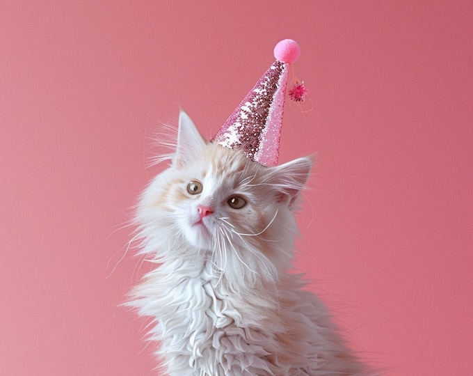 Funny Animal Wall Art Pink Cute Kitten Party disco ball  - A4 A3 A2 - Festival Merch