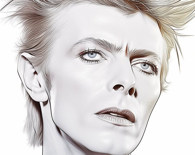 David Bowie Art Famous Faces Music Musician Celebrity Wall Art Print - A4 A3 A2 - Festival Merch