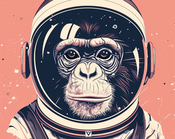 Funny Animal Wall Art Pink Space Monkey Space suit  - A4 A3 A2 - Festival Merch