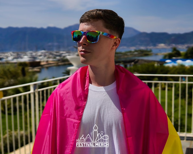 Pansexual Flag Large LGBT -  5ft by 3FT Pride Pan Omnisexual Gay Lesbian Bi Trans Rainbow parade music festival party  - Festival Merch