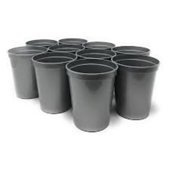 Halloween Party 12 ounce Plastic Cups Personalized - Set of 12 cups