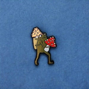 May include: A green frog carrying a brown mushroom on its back and holding a red mushroom in its hand.