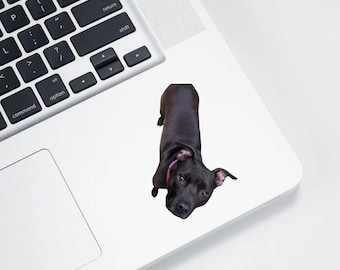 Custom Pet Stickers - Personalized Pet Stickers - Cute Dog Design - Various Sizes Available - Ideal for Laptops, Scrapbooking, and More