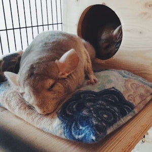 Lazy Chin Pillow/Bed - Chinchilla/Rat/Degu/Rabbit/Guinea Pig Accessory