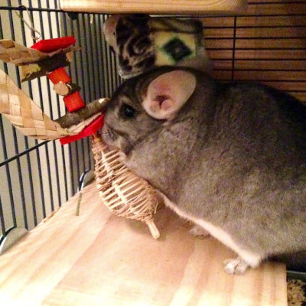 Chin Strap - Chinchilla/Rat/Degu/Rabbit/Guinea Pig/Hamster Chew Toy