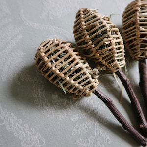 Caramelos para la barbilla: madera de manzano, vid, heno, escaramujo e hibisco (paquete de 3) - Juguete masticable para chinchillas, ratas, degús, conejos, cobayas y hámsteres