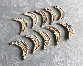 Natural Vine Croissants (pack of 10) - Chinchilla/Rat/Degu/Rabbit/Guinea Pig/Squirrel/Hamster Chew Toy Cage Accessories Toss Toy