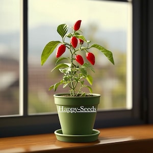 May include: A small green pot with a red chilli pepper plant growing inside. The pot has the words "Happy-Seeds" printed on the side.