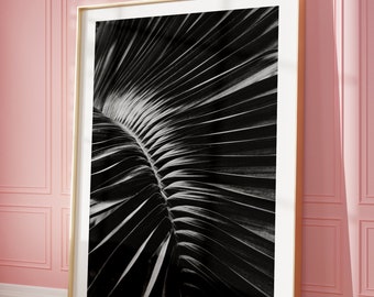Monochrome Palm Leaf Photography, Black and White Tropical Print (Digital Download)