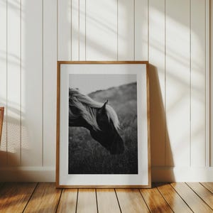 Wild horse digital print, wild horse art, wild horse photography, horse wall art, horse wall decor, black and white horse photography, art