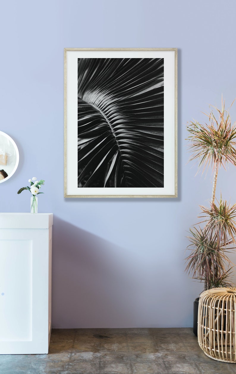 Monochrome Palm Leaf Photography, Black and White Tropical Print ...