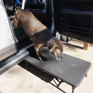 May include: A brown dog with a purple collar stepping onto a black, rectangular, foldable pet ramp positioned next to an open car door. The ramp features a textured, non-slip surface with visible paw prints and is supported by metal legs.