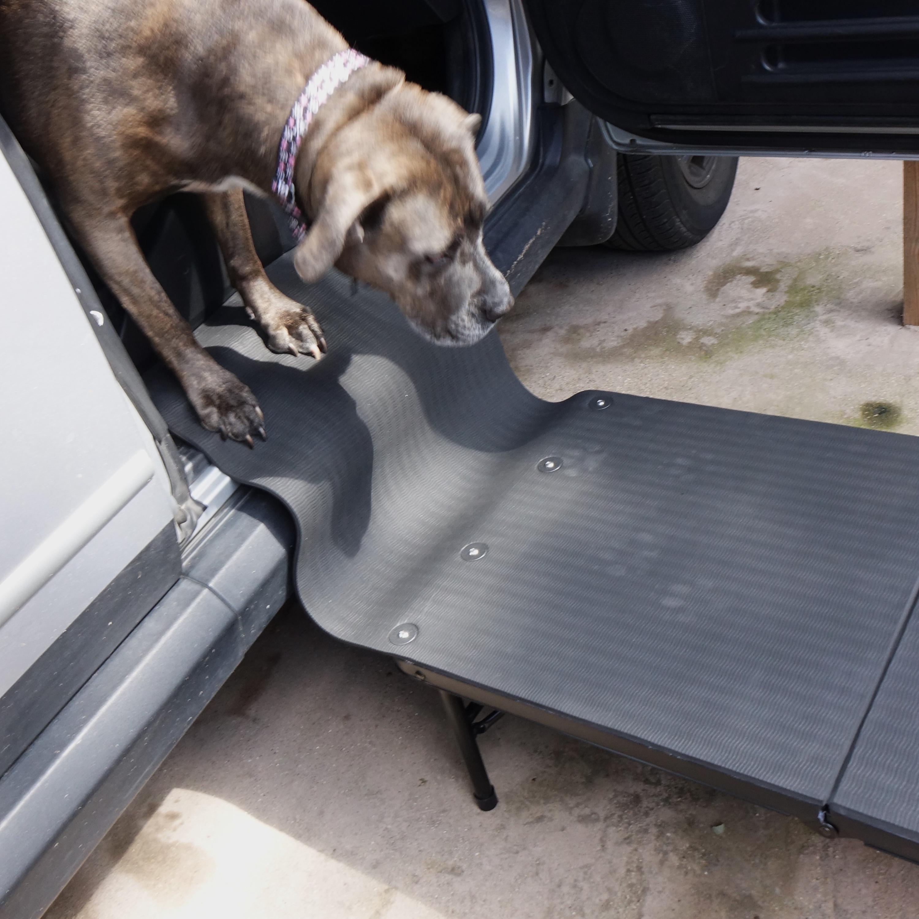 Pet Ramps