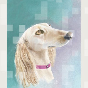 Saluki na turkusowym malarstwie cyfrowym na cele charytatywne